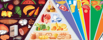 Image result for Nutrition Guidelines