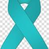 The meaning of the awareness ribbons are based on their color or color combination. 1