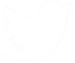 Image result for twitter logo black