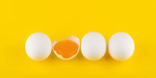 We did not find results for: Perbandingan Telur Ayam Vs Telur Bebek Dari Nutrisi Hingga Manfaat Halaman All Kompas Com