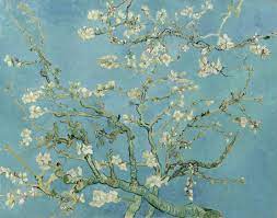 They represented awakening and hope. Almond Blossoms Wikipedia
