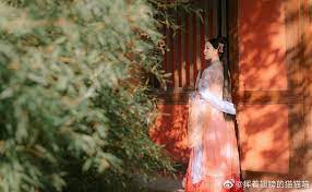 摄影 后期 妆造 挥着翅膀的猫猫喵出镜 客妹 嘿山姥姥噜汉服 淳于衣庄原创汉服师傅 知竹zz 16 01 2020