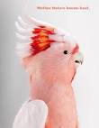 Pictures of 2 parrots talking music <?=substr(md5('https://encrypted-tbn0.gstatic.com/images?q=tbn:ANd9GcSRxnimV08OZ5KS1ZklkgPKW12yWjfDJ2aOmwNk12AJDThYO51Tf8pFled3'), 0, 7); ?>