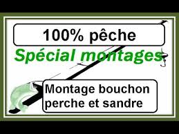 Montage Ligne Bouchon Perche Et Sandre Peche Conseils De Peche Truite