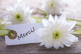 Check spelling or type a new query. Merci Pour Tes Voeux