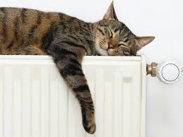 Close the windows during the day and block out the sun with dark, heavy curtains. 10 Ways To Keep Your House Warm And Save Money This Winter