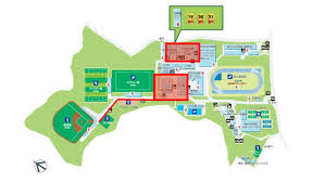 日本体育大学陸上競技部 ニュース