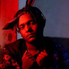 JuDior: albums, songs, concerts