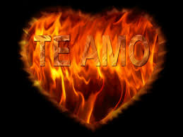 Https Encrypted Tbn0 Gstatic Com Images Q Tbn And9gcte40t6zn0yfcqjxnqgv4bujbuzvp20fa4nzq Usqp Cau