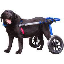 This dog wheelchair diy is for small dogs. Amazon Com Walkin Wheels Dog Wheelchair For Large Dogs 70 180 Pounds Veterinarian Approved Dog Wheelchair For Back Legs Disabled Dog Cart Pet Supplies