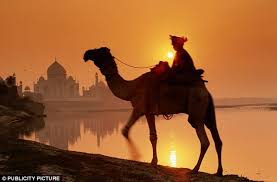 Get it while it's hot! Camel Bites Off Its Owner S Head After He Left It Tied Up In The Heat All Day Daily Mail Online