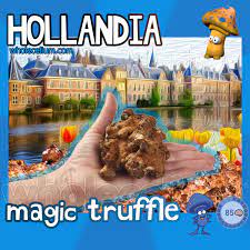 Wij zijn hollandia, een hollands familiebedrijf dat faam heeft in europa om de engineering, bouw en onderhoud van projecten met voornamelijk staalconstructies. Magic Truffles Hollandia