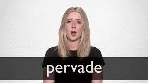 Bright sunshine permeated the room. Pervade Definition And Meaning Collins English Dictionary