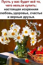 поздравления с днем рождения женщине в возрасте на вы Pin By Zimfira Nielsen On Geburtstagswunsche Happy Birthday Quotes Birthday Quotes Funny Phrases