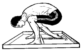 Resultado de imagen de PRUEBA FISICA DE FUERZA