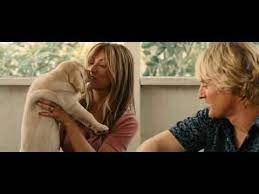 Youtube Marley Y Yo Marley Y Yo Pelicula Una Pareja De Tres
