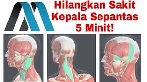 Sakit kepala bisa menyerang siapa pun dan kapan pun. 6 Point Urut Sakit Kepala Migrain Migraine Youtube