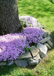 31 Coole Inspirationen Fur Die Abgrenzung Eines Blumen Oder Krauterbeetes Cooletipps De Blumenbeete Vorgarten Landschaftsbau Vorgarten