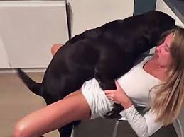 Dog Sex