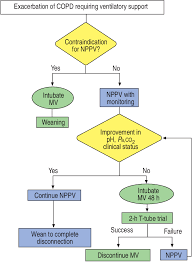 flow chart for the use of noninvasive positive pressure