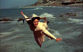 Image result for flying nun