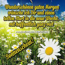 Dann habe ich zum wochenstart ein leckeres, selbstgekochtes essen und muss mich montagabend nicht abhetzen. Wunderschonen Guten Morgen Wunsche Ich Dir Und Einen Tollen Start In Die Neue Woche Mit Hoffentlich Ganz V Guten Morgen Guten Wochenstart Guten Morgen Wunsche