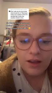 Boston Terrier and Boxer Mixed