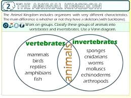 vertebrates and invertebrates worksheets vs picture sorting