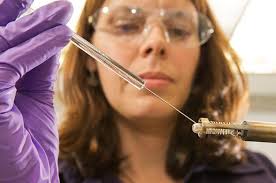 Females in STEM Fields