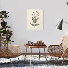 Image result for Ehretia cymosa