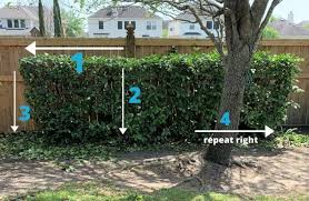 If it is a major trimming, it's best to do it during the time the plant is dormant, like in the winter. Trimming Hedges Shrubs Yard Work 101 Thetarnishedjewelblog