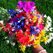 Each floral arrangement is handmade in michigan and therefore each item will differ (very) slightly from the 1st wedding cancelled due to covid; Texas Wildflower Bouquet I Want This For My Wedding One Day Cheap Wedding Flowers Country Wedding Flowers Gold Wedding Flowers