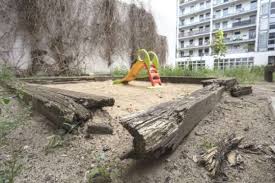 Urteile Rund Um Die Gartennutzung News Ivv Immobilien Vermieten Verwalten Das Magazin Fur Die Wohnungswirtschaft
