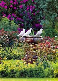 epingle par fernanda ramajal sur outside gardens paysage magnifique dessin jardin romantique jardins blancs