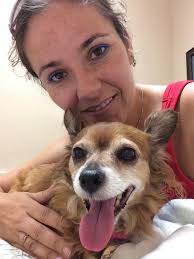 admin addresses absence and page management