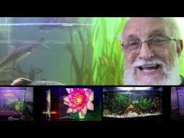 THE MUSIC OF FATHER FISH