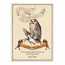 Players are only allowed one animal which will becomes their avatar on the site so they must think. Eeylops Owl Emporium Poster Minalima
