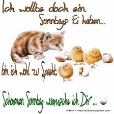 Gifs zum guten morgen wünschen auf textgifs.de: Sonntag Mckrampi 100 Free Sonntagsgrusse Bilder Guten Morgen Lustig Guten Morgen Gruss