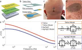 Ranking all the lisbeth salander movies, from dragon tattoo to spider's web. Conducting Polymer Tattoo Electrodes In Clinical Electro And Magneto Encephalography Npj Flexible Electronics