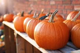 How to Carve a Pumpkin for Halloween - Pumpkin Carving Tips