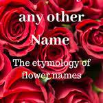A Rose By Any Other Name Spiral Skills Tutoring And Academic Coaching Amazing Gardens Flower Names Names