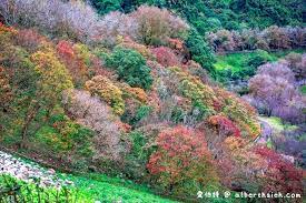 1:11 跟著領隊玩 13 041 просмотр. æ„›ä¼¯ç‰¹åƒå–çŽ©æ¨‚å…¨è¨˜éŒ„ç¬¬68é 