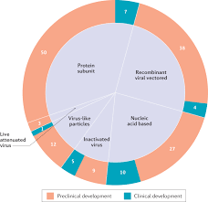 Immunological Considerations For Covid 19 Vaccine Strategies Nature Reviews Immunology