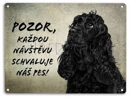 Image result for anglický kokršpaněl