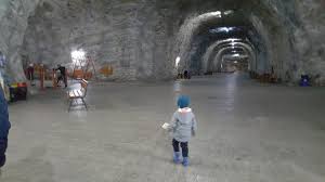 Principalul domeniu de activitate il constituie extractia, prepararea si comercializarea sarii. SlÄnic Moldova O Plimbare RelaxatÄ Prin NaturÄ