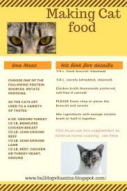 Picky Cat Food Recipes Pet Nurse Marie Homemade Cat Food Healthy Cat Food Raw Cat Food Recipes