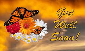 Explore {{searchview.params.phrase}} by color family. 51 Best Get Well Soon Images Wishes Pictures