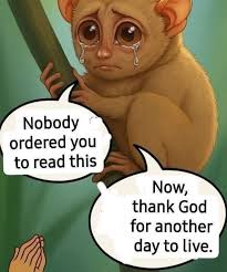 Me: I don't like spicy food Friend: Try it, it's not too spicy Me: