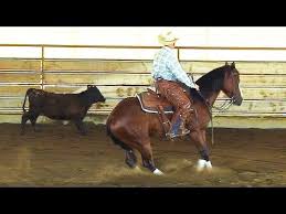 Pin On Training Tips Videos