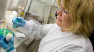 COVID Trial Networks Pivot to Studying Flu